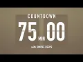 75 Minute Countdown Timer Flip Clock with Simple Gong
