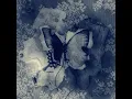 灰色 - Gray - Motoki Ohmori