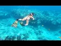 Lagu Snorkeling | Key West, Florida (World's Third Largest Coral Reef)