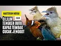 Download Lagu Masteran Murai Isian Kapas Tembak, Cililin, Cucak Jenggot, Tengkek Buto