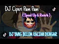 Download Lagu DJ Ciperi Pam Pam ( Speed Up \u0026 Reverb ) mangkene