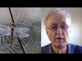 The systems view of life with Fritjof Capra | Living Mirrors #21 clips