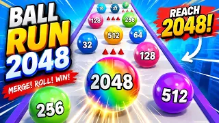๐ฅ BALL RUN ๐ฑ | CAN I REACH THE FINAL LEVEL? ๐๐ฎ