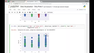 Seaborn Strip plot Part 2