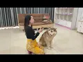 Kwan don't know why TOTO get angry again but Kwan try to comforting TOTO,finally what will happen?