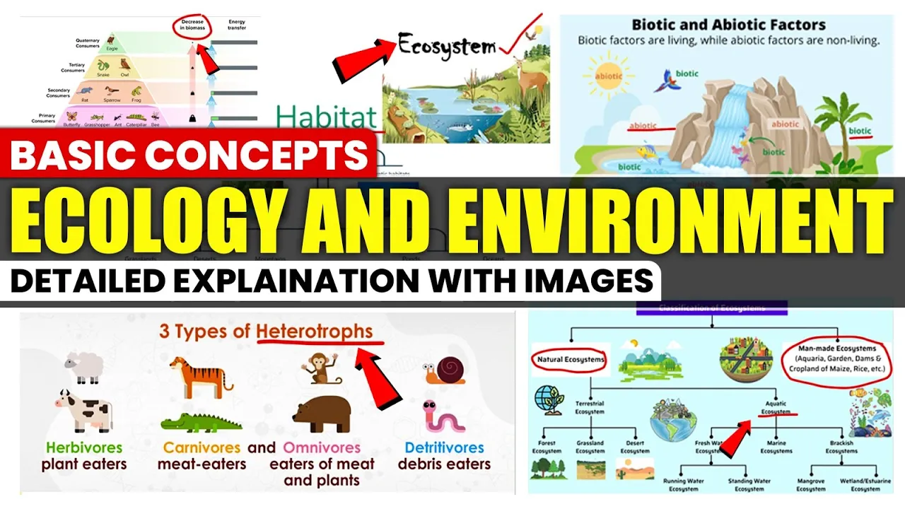 Basic Concepts of Ecology and Environment - Environment and Ecology for UPSC | Environment & Ecology