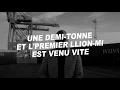 SCH - Marché noir (Paroles)