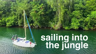 Sailing into the jungle  – Sailing Tarka Ep. 39