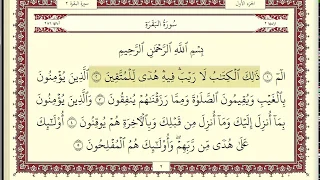 محمد ايوب سورة البقرة كاملة مكتوبة جودة عالية ارضية ذهبية 