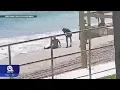 shows Vero Beach double murder suspect coming ashore as manhunt continues