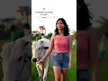 Download Lagu Ai Studio.#aistudio #fyp #story