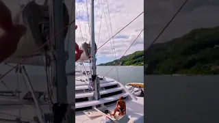 Drop the anchor and be greeted by dolphins – amazing! 🐬 #sailingfamily #seychelles #dolphins