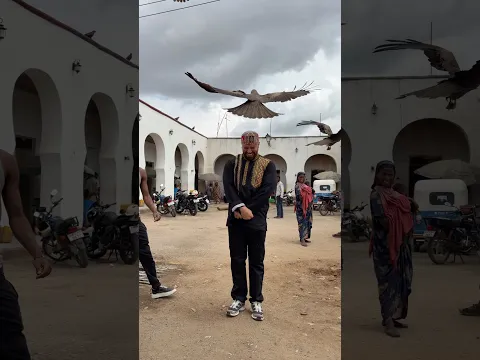 I Fed Eagles By Hand In Ethiopia