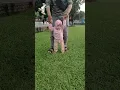 Download Lagu merangsang saraf kaki bayi dengan berjalan di atas rumput