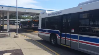 CTA All New Nova Bus 81 Lawrence
