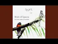 Download Lagu Burung Sariawan Perut Kremi
