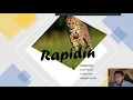 Proyecto Python Cplex Rapidin