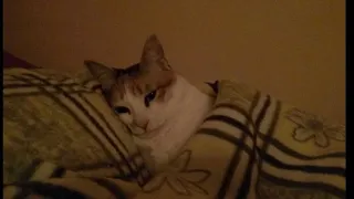 Think Of Me Once In A While Take Care 