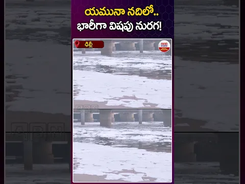 యమునా నదిలో..భారీగా విషపు నురగ! #yamunariver #poisson #waterpollution #trending #abn