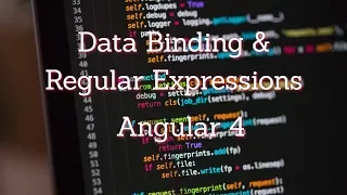 Data Binding and Regular Expressions in Angular 4 Part 13