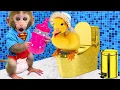 Download Lagu Il scimmietto Bon Bon si prende cura di un adorabile anatroccolo e prepara gelatine arcobaleno