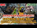 Download Lagu BONGKARAN MEWAH!!! MURAI TROTOL HUTAN BODY BIG,TROTOL CUNGKO,POKSAY HK,SONCA DAN BETINA SIAPAN