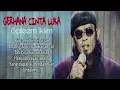 Download Lagu GERHANA CINTA LUKA / SALEEM IKLIM/LIRIK