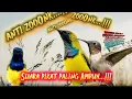 Download Lagu Suara burung kolibri sogon menarik perhatian burung sogon muda, burung sogon betina yang berisik
