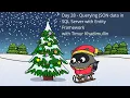 Day 28 - Querying JSON data in SQL Server with Entity Framework by Timur Khadimullin