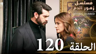 الحلقة 120 مسلسل زهور الدم مدبلج بالعربية Kan Çiçekleri 