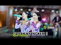 Download Lagu Rina Aditama - Rasah Nyangkem 3 (Official Music Live)