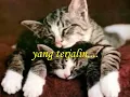 Cinta Melankolia - AaN ~lirik~