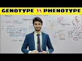 Differences between Genotype and Phenotype Genetic Makeup Physical Trait Genetics Inheritance