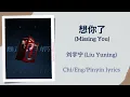 Download Lagu 想你了 (Missing You) - 刘宇宁 (Liu Yuning)【单曲 Single】Chi/Eng/Pinyin lyrics
