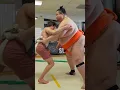 Download Lagu 160lbs Youtuber VS 600lbs Sumo Wrestler!