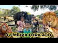 Download Lagu Gembira Loka Zoo Yogyakarta | Kebun Binatang Gembira Loka