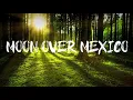 Luke Combs - Moon Over Mexico (Lyrics)