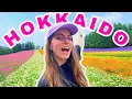 Summer SOLO Travel in Hokkaido Japan