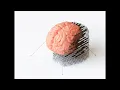 Complete Brain Regeneration / Heal all Brain Damage (Morphic Field)