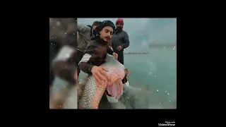 لن تصدق صبر الصبر ومر المر تحدي اشعار شعر 