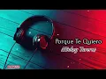 Porque Te Quiero - Mickey Taveras (Letra)