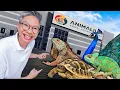 Download Lagu PECINTA HEWAN WAJIB TAU TEMPAT INI!! ANIMALIUM!!