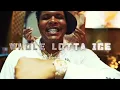 BigWalkDog - Whole Lotta Ice (feat. Lil Baby & Pooh Shiesty) [Official Music Video]