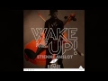 Wake Me Up! Violin Remix (Avicii & Vitamin String Quaret)