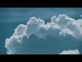 Mrs. GREEN APPLE「夏の影」Teaser #2