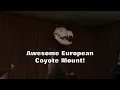 How To Hinge Jaws On European Predator Skull Mounts