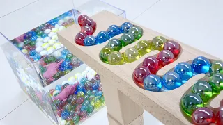 Marble Run ASMR ☆【Various wooden courses】Wooden Rail & Rainbow Arch, A tank filled with water157