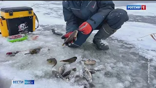 В Омск окончательно пришла зима