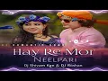 Download Lagu Hay Re Mor Neelpari Dj Roshan \u0026 Dj Shivam Kgn
