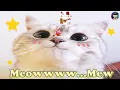 🟤เพลงแมวจีนยอดฮิตน่ารัก ติดเทรนด์ TikTok เวอร์ชั่นเจ้าเหมียวๆน่าเอ็นดู [学猫叫] [Xue Mao Jiao]